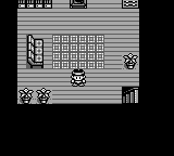 Monster Race screenshot 3 for GameBoy